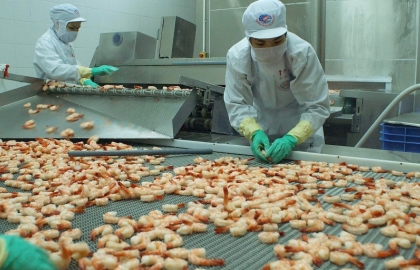 Vietnam’s shrimp exporters mull future prospects